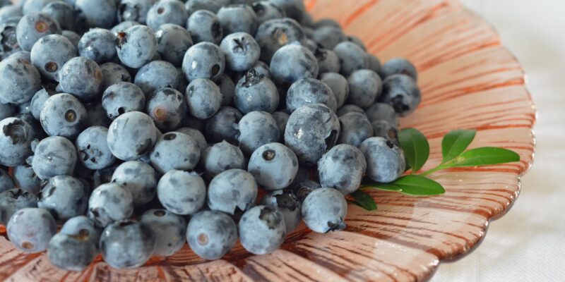 blueberries-2532868_1920