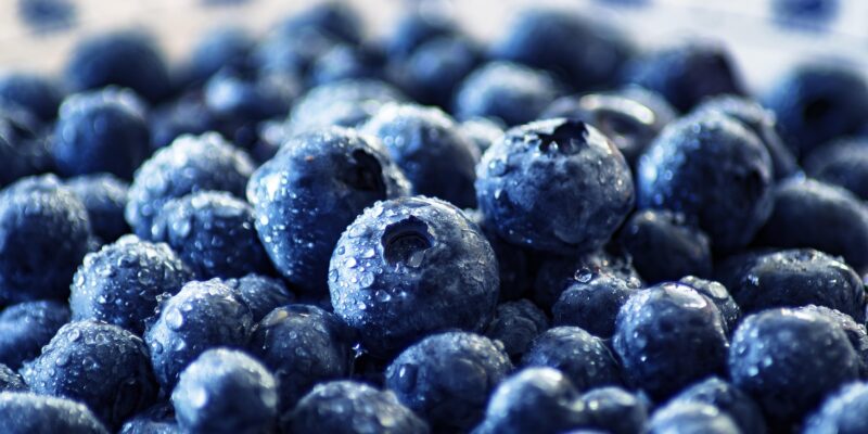 blueberries-3460423_1920