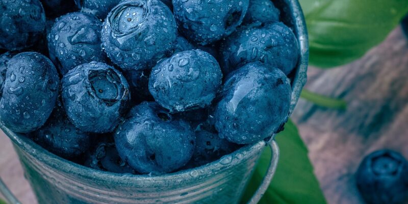 blueberries-8907844_1920