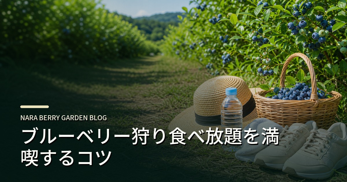 ブルーベリー狩り食べ放題を満喫するコツのアイキャッチ画像