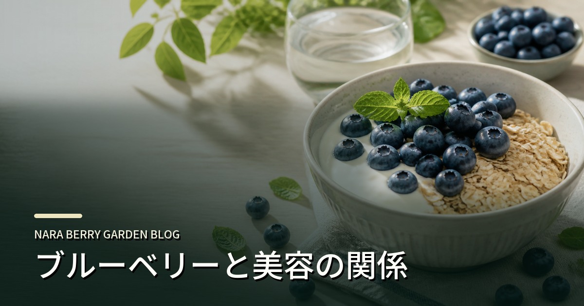 ブルーベリーと美容の関係のアイキャッチ画像