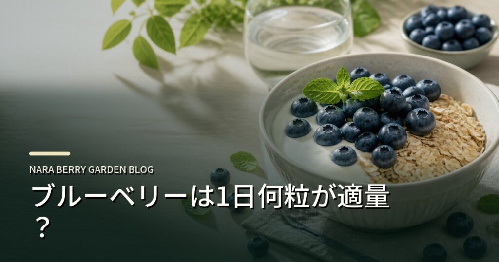 ブルーベリーは1日何粒が適量？のアイキャッチ画像