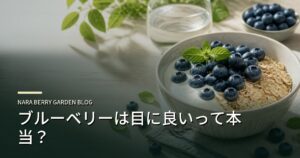 ブルーベリーは目に良いって本当？のアイキャッチ画像