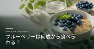 ブルーベリーは何歳から食べられる？のアイキャッチ画像