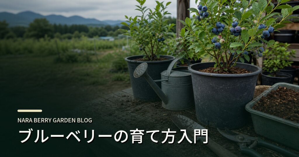 ブルーベリーの育て方入門のアイキャッチ画像