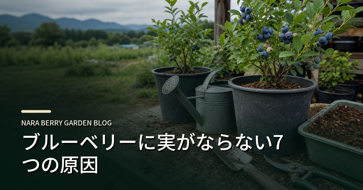 ブルーベリーに実がならない7つの原因のアイキャッチ画像