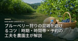 ブルーベリー狩りの混雑を避けるコツ｜時期・時間帯・予約の工夫を農園主が解説のアイキャッチ画像