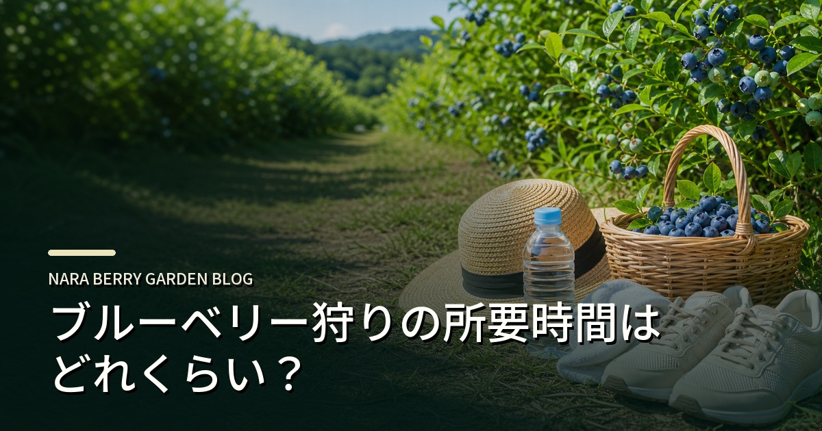ブルーベリー狩りの所要時間はどれくらい?のアイキャッチ画像