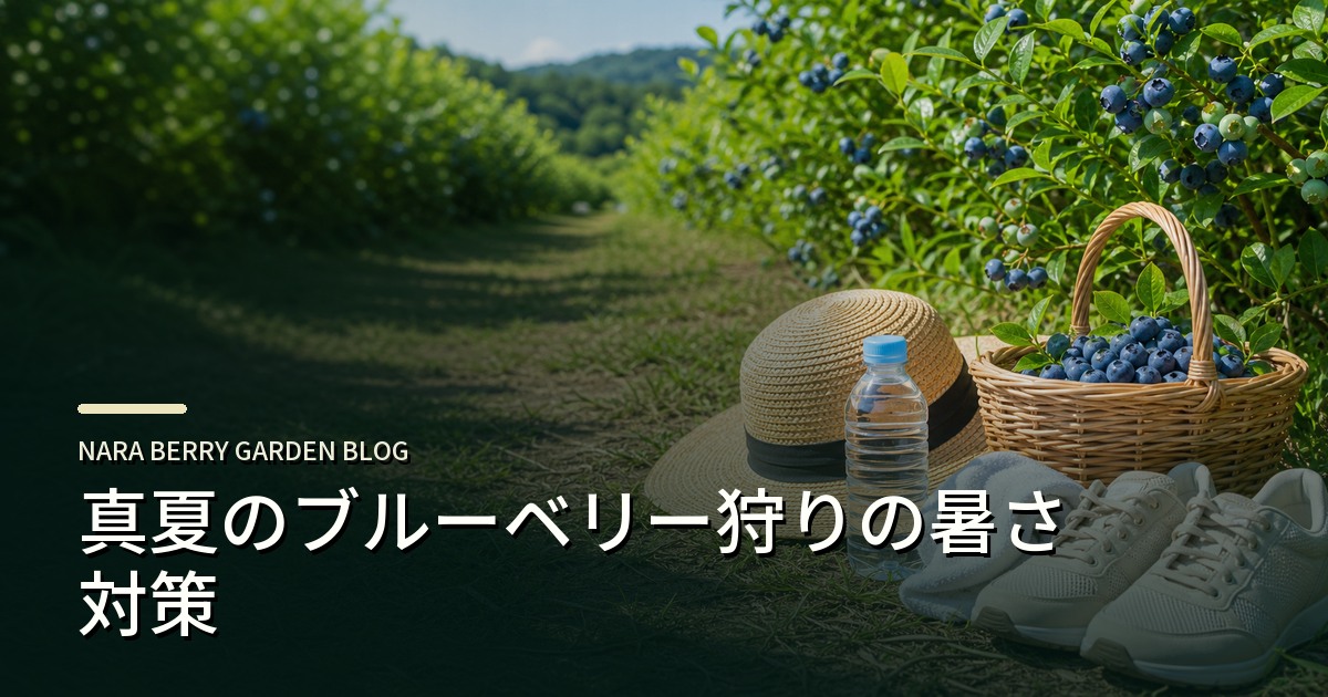 真夏のブルーベリー狩りの暑さ対策のアイキャッチ画像