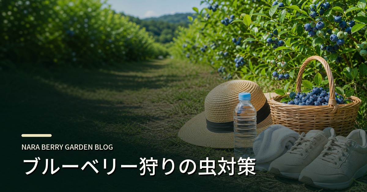 ブルーベリー狩りの虫対策のアイキャッチ画像