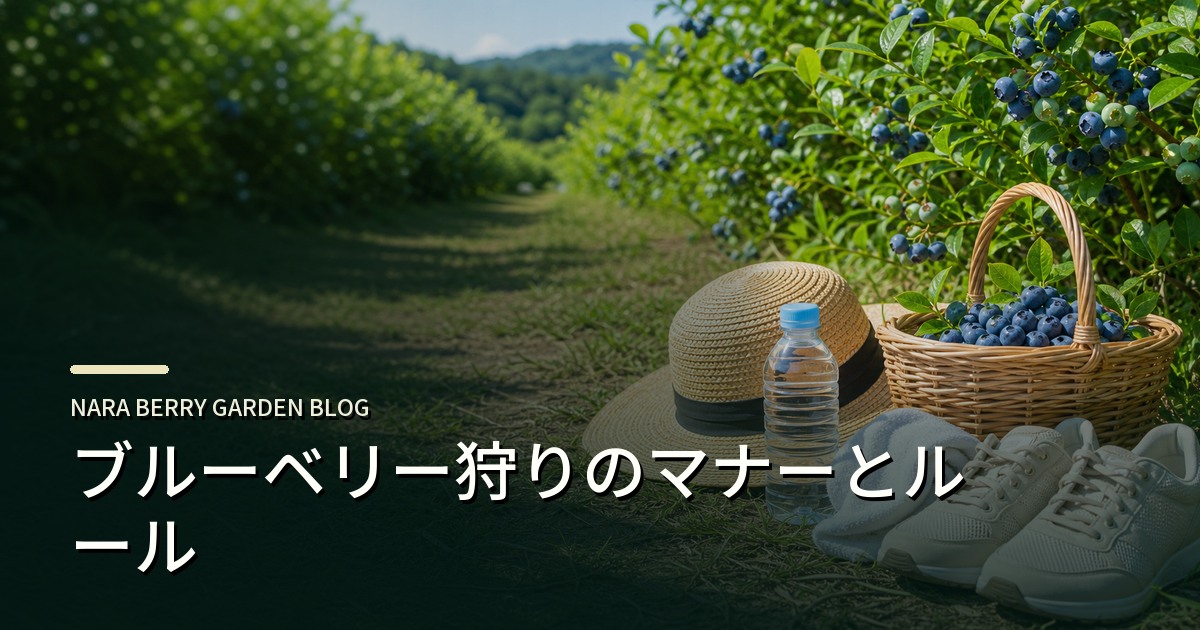 ブルーベリー狩りのマナーとルールのアイキャッチ画像