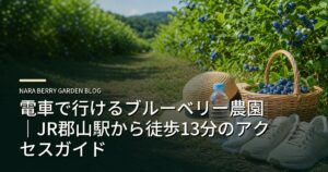 電車で行けるブルーベリー農園｜JR郡山駅から徒歩13分のアクセスガイドのアイキャッチ画像