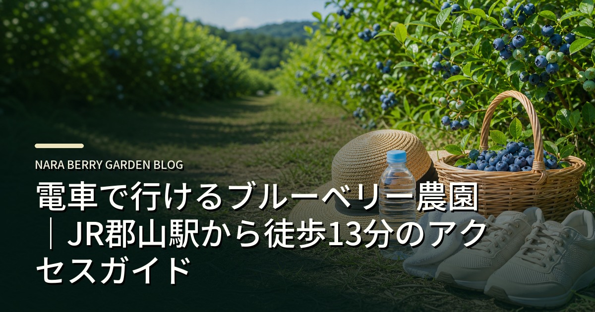 電車で行けるブルーベリー農園｜JR郡山駅から徒歩13分のアクセスガイドのアイキャッチ画像