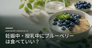 妊娠中・授乳中にブルーベリーは食べていい？のアイキャッチ画像