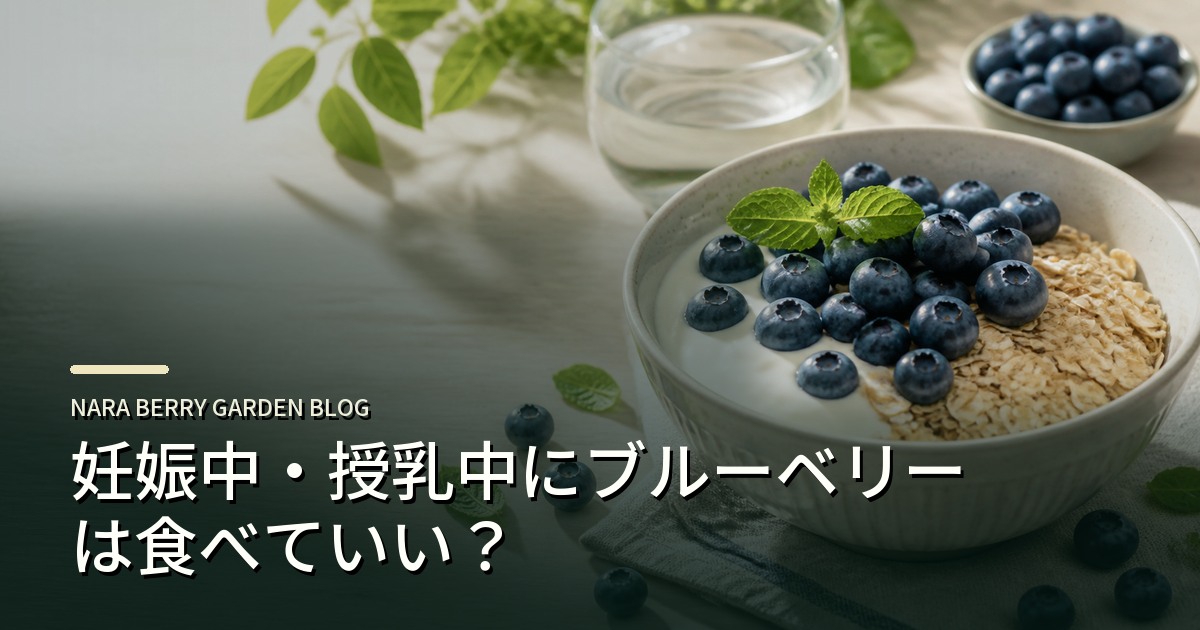 妊娠中・授乳中にブルーベリーは食べていい？のアイキャッチ画像
