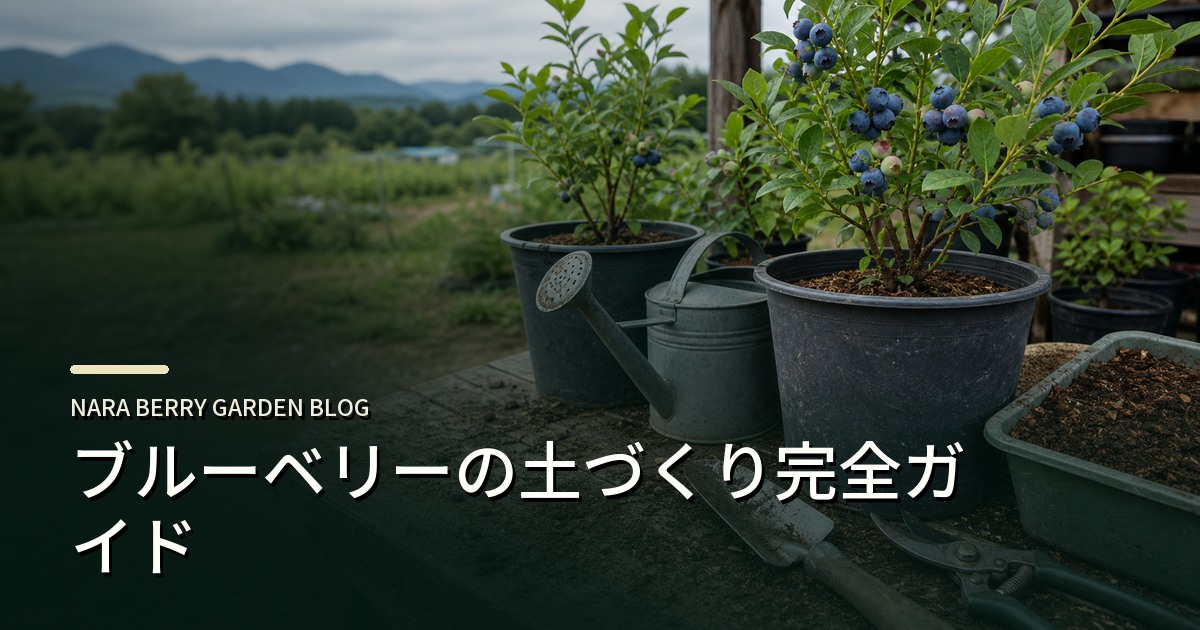 ブルーベリーの土づくり完全ガイドのアイキャッチ画像