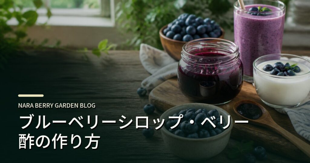 ブルーベリーシロップ・ベリー酢の作り方のアイキャッチ画像