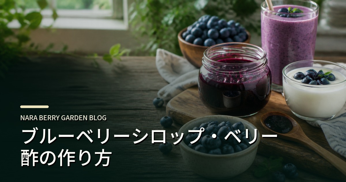 ブルーベリーシロップ・ベリー酢の作り方のアイキャッチ画像
