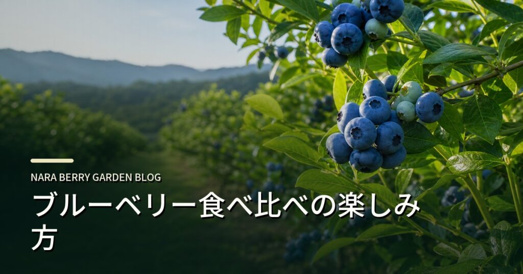 ブルーベリー食べ比べの楽しみ方のアイキャッチ画像