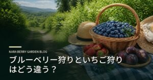 ブルーベリー狩りといちご狩りはどう違う？のアイキャッチ画像