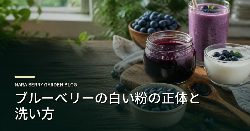 ブルーベリーの白い粉の正体と洗い方のアイキャッチ画像