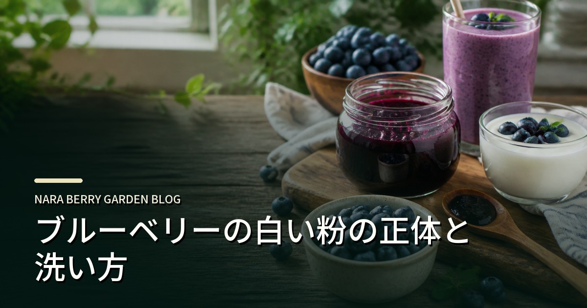 ブルーベリーの白い粉の正体と洗い方のアイキャッチ画像