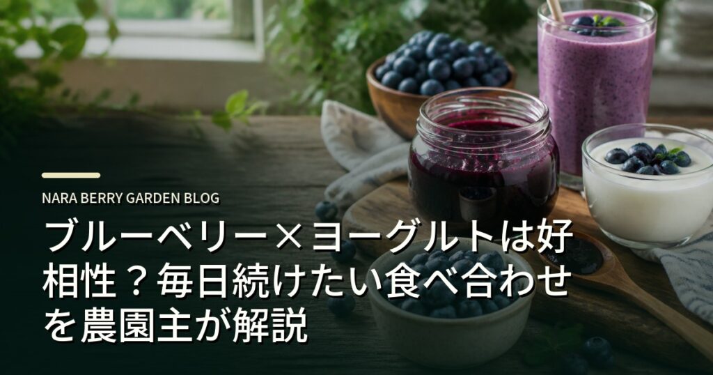ブルーベリー×ヨーグルトは好相性？毎日続けたい食べ合わせを農園主が解説のアイキャッチ画像
