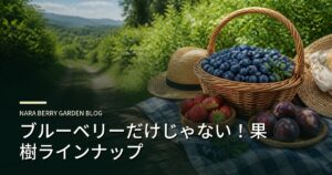 ブルーベリーだけじゃない！果樹ラインナップのアイキャッチ画像