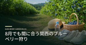 8月でも間に合う関西のブルーベリー狩りのアイキャッチ画像