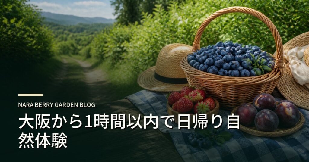 大阪から1時間以内で日帰り自然体験のアイキャッチ画像