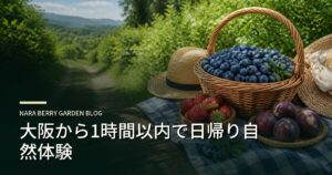 大阪から1時間以内で日帰り自然体験のアイキャッチ画像